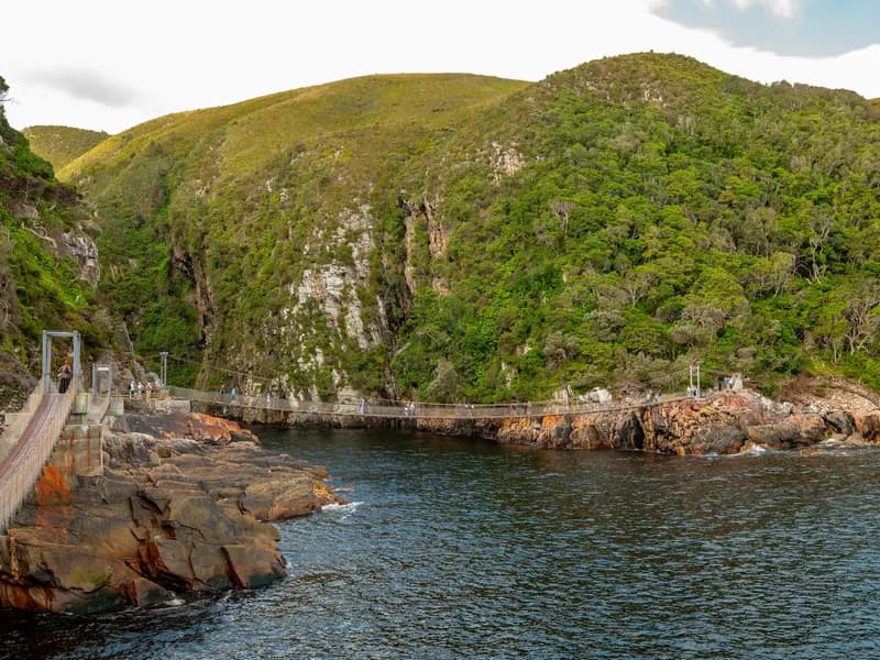 Bloukrans Bungee Jump