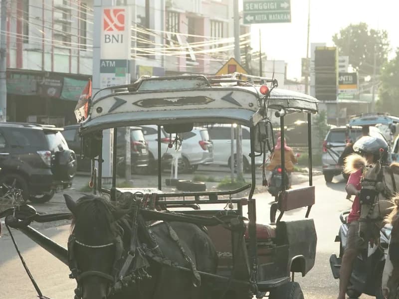 Cidomo Ride & Car-Free Island Loop