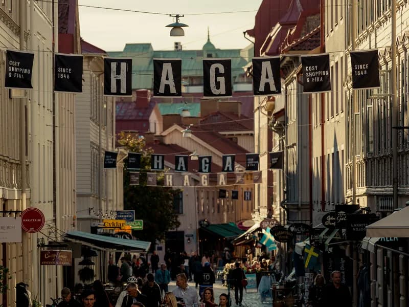 Haga District