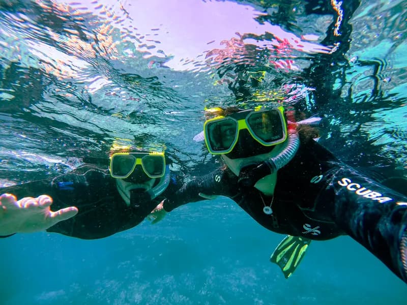 Outer Reef Snorkeling & Diving