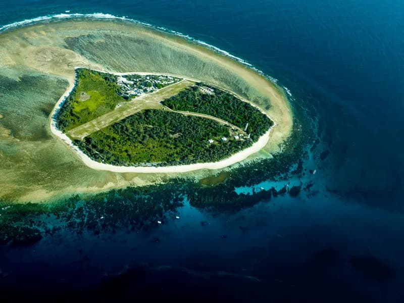 Lady Elliot Island
