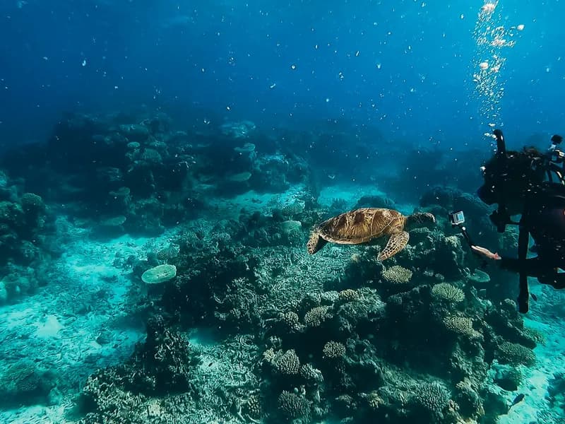 Introductory Scuba Diving