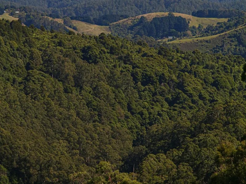 Great Otway National Park