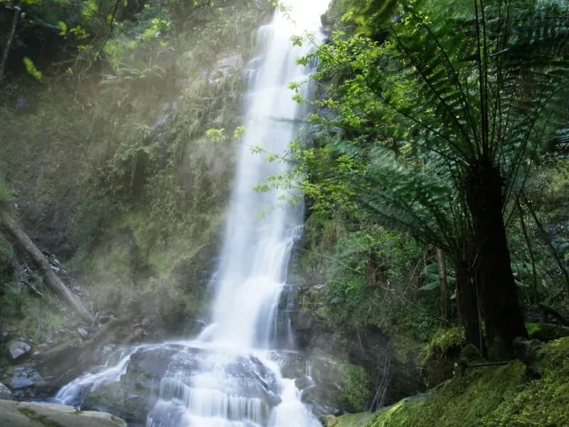 Erskine Falls, Lorne