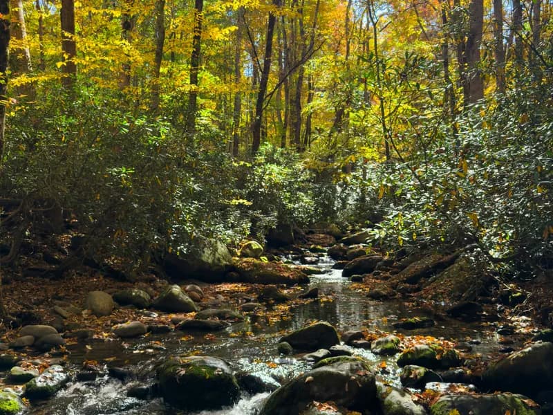 Roaring Fork Motor Nature Trail