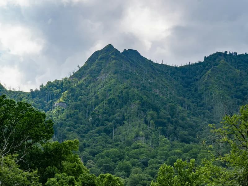 Chimney Tops Trail