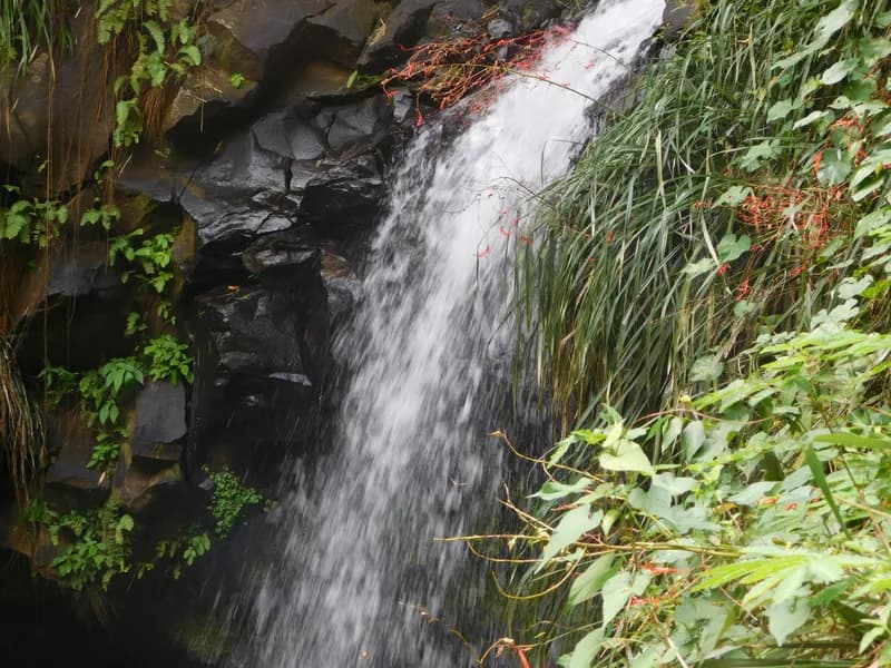 Annandale Falls