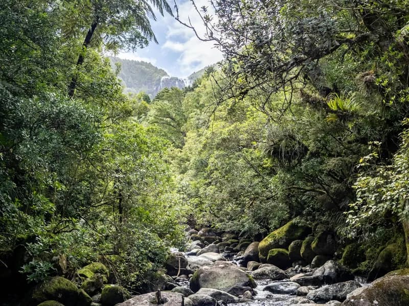 Wairere Falls