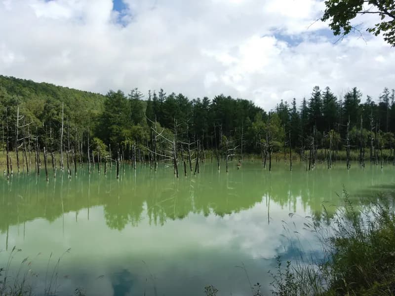 Biei Blue Pond & Shirogane Falls