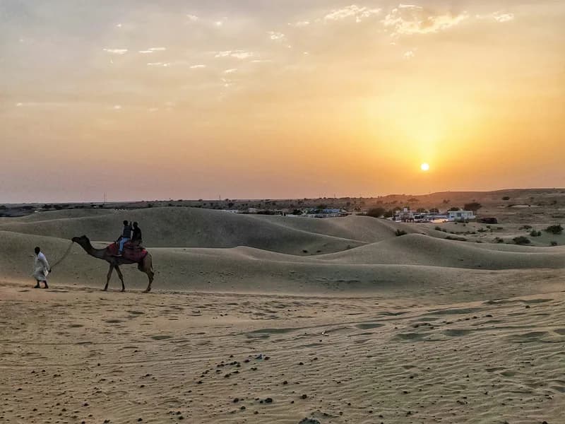 Sam Sand Dunes & Camel Safari