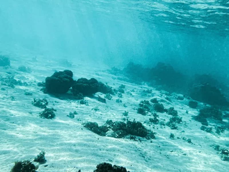 Red Sea Diving & Snorkeling