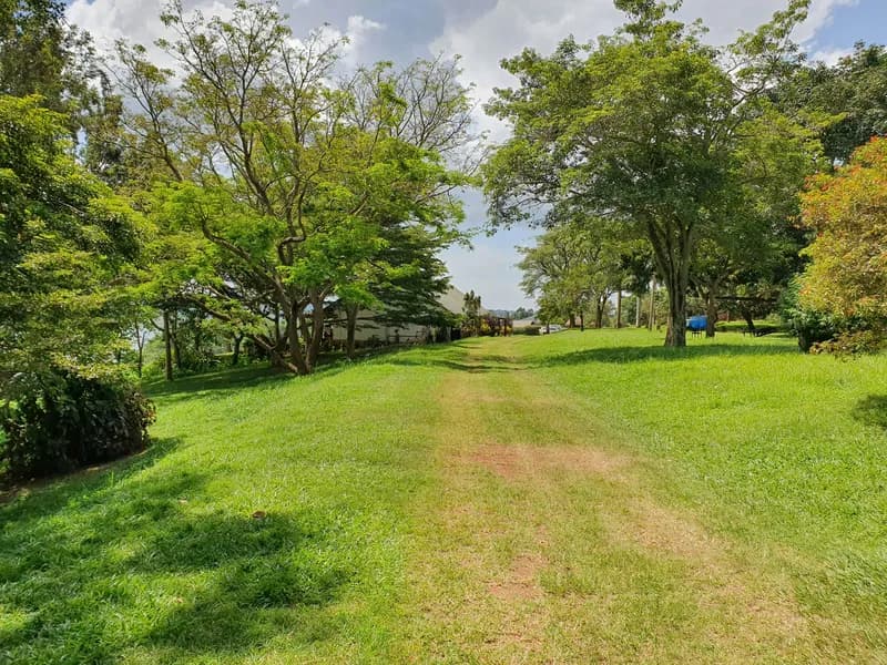 Mabira Forest Hike