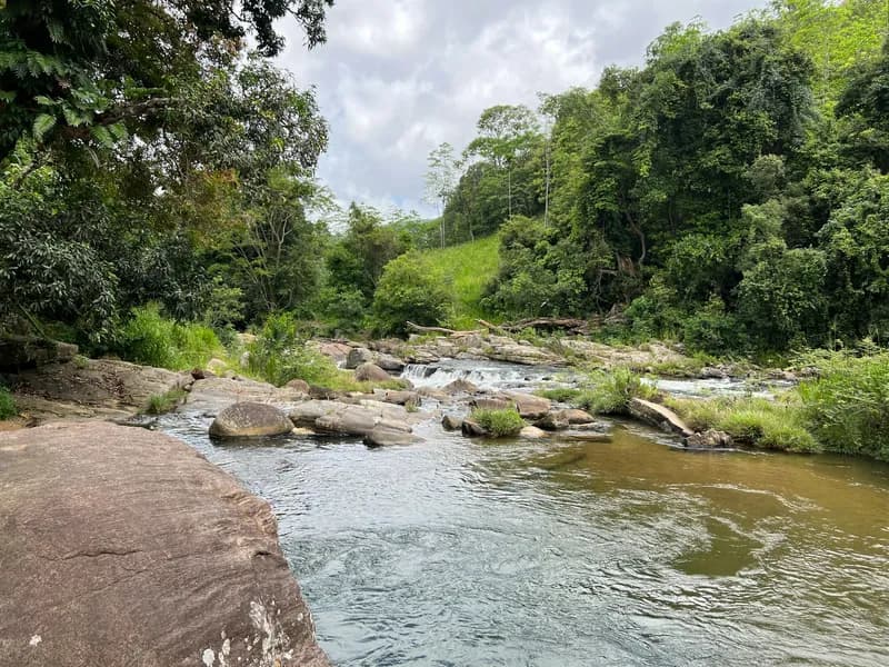 Udawattakele Forest Sanctuary