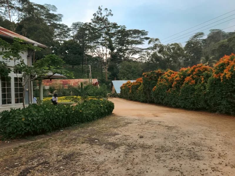 Ceylon Tea Museum, Hantana
