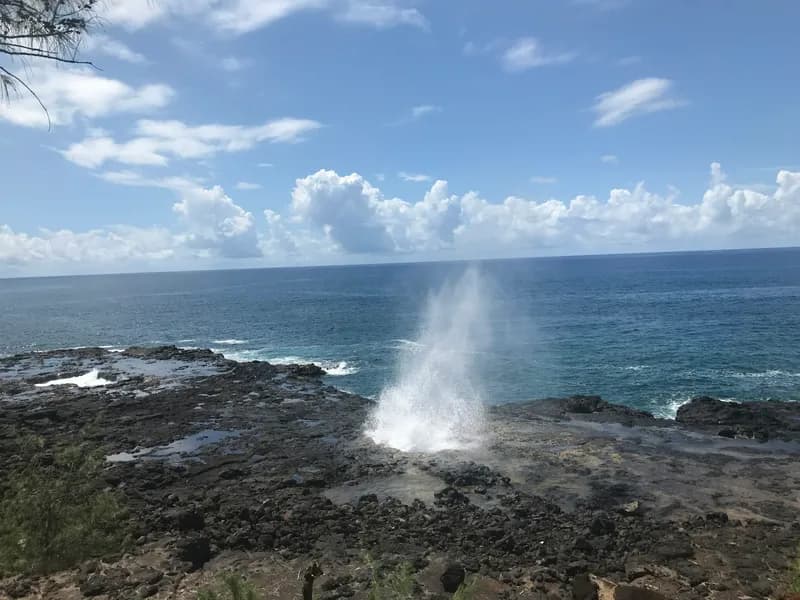 Spouting Horn