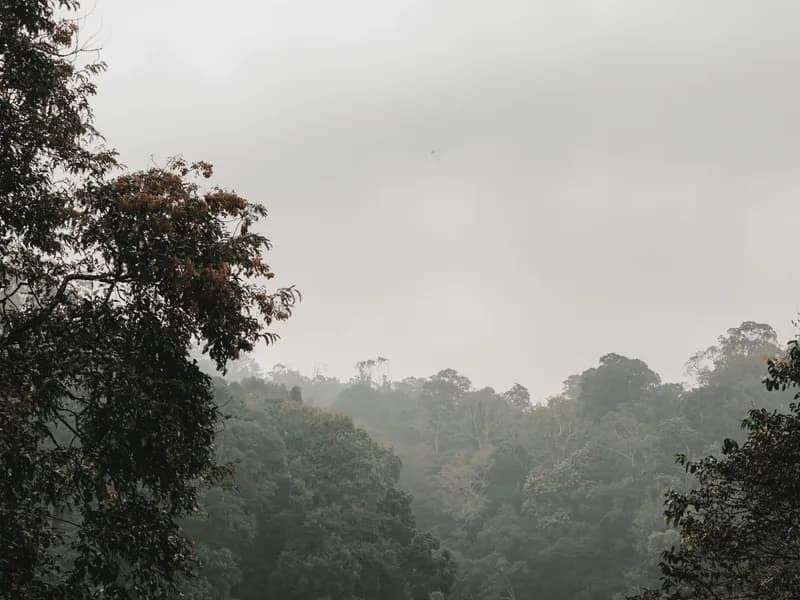 Periyar Wildlife Sanctuary