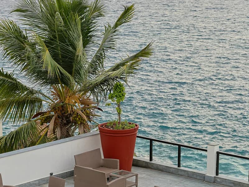 Ayurvedic Wellness Retreat