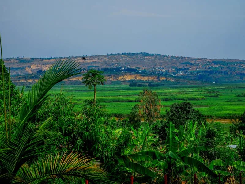 Rwanda Coffee Tour