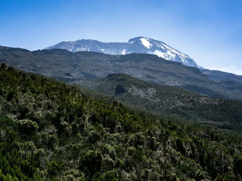 Five Climate Zones