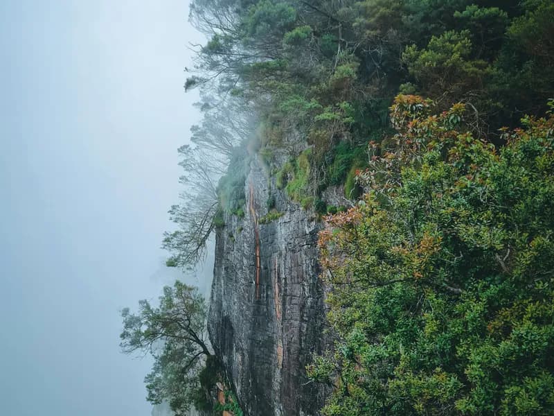 Dolphin's Nose & Echo Rock