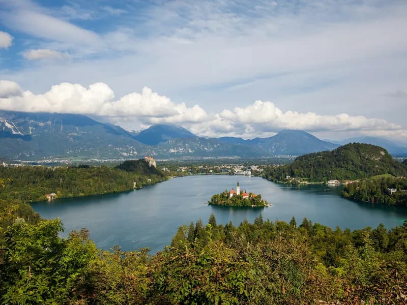 Straža Bled (Summer Toboggan & Zip Line)