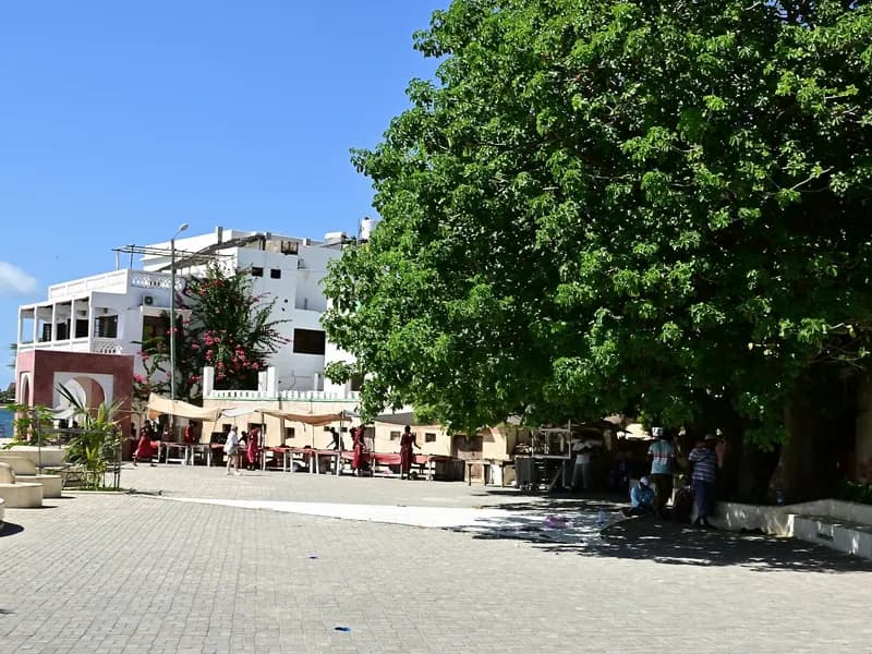 Lamu Old Town