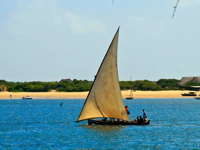 Dhow Sailing