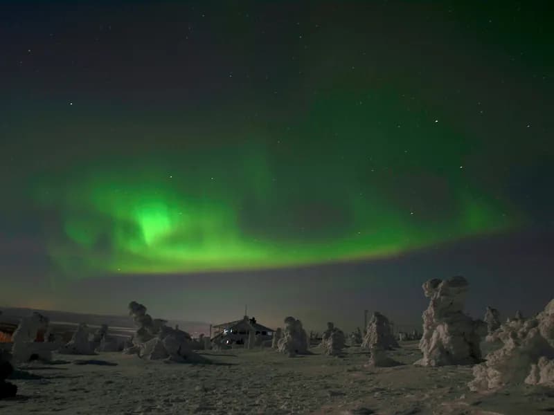 Northern Lights Viewing