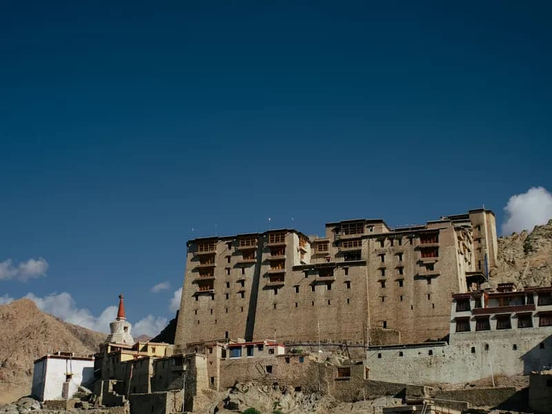 Leh Palace & Old Town