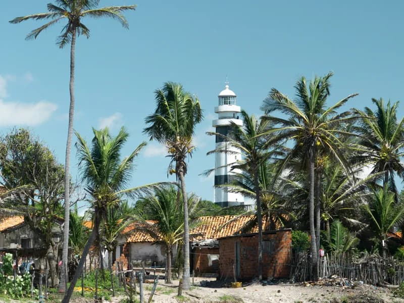 Rio Preguiças Boat Tour