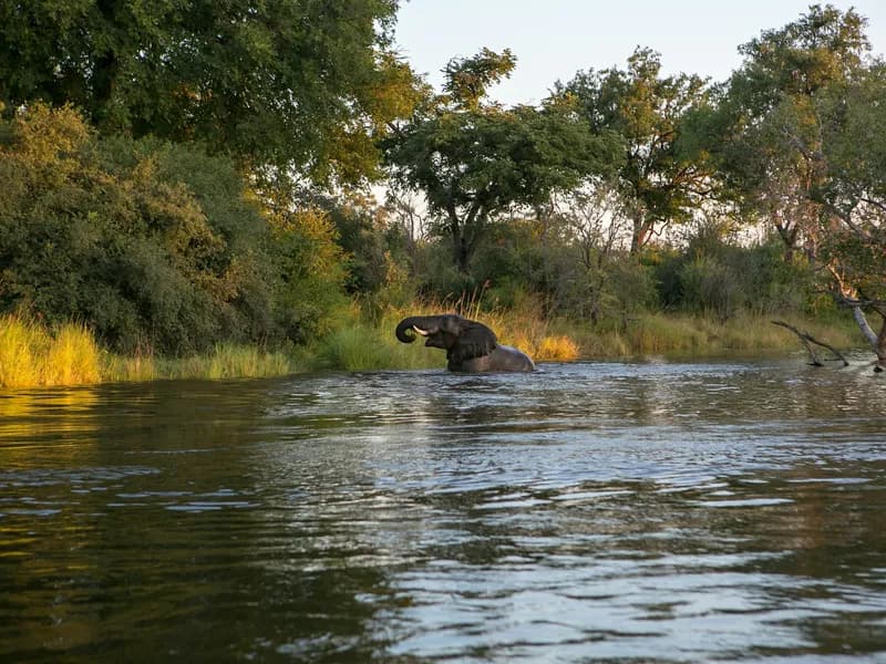 Zambezi Sunset Cruise
