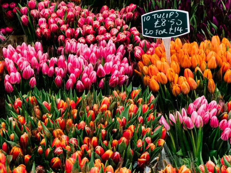 Columbia Road Flower Market