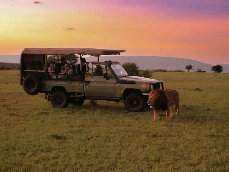 Big Five Game Drives