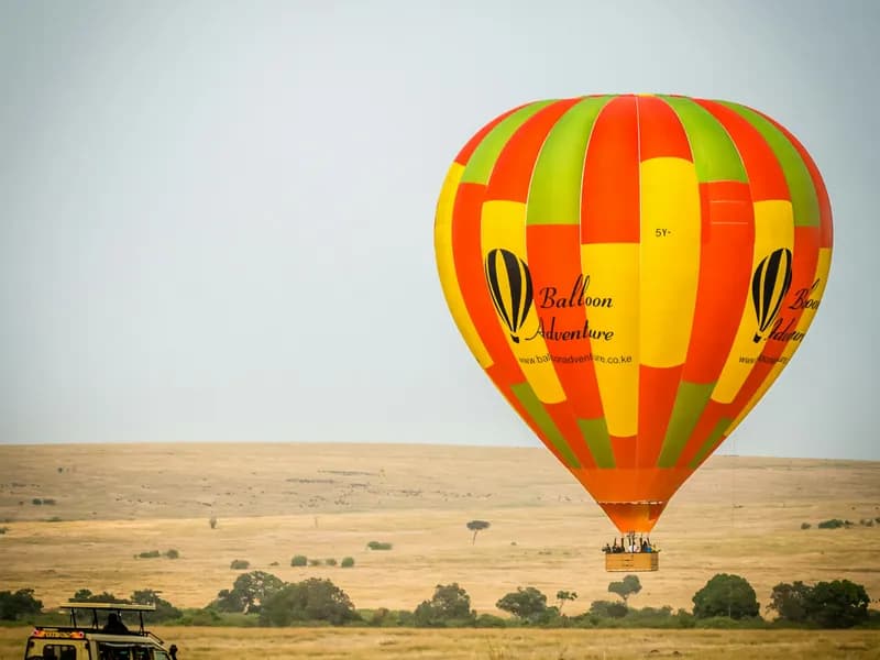 Hot Air Balloon Safari