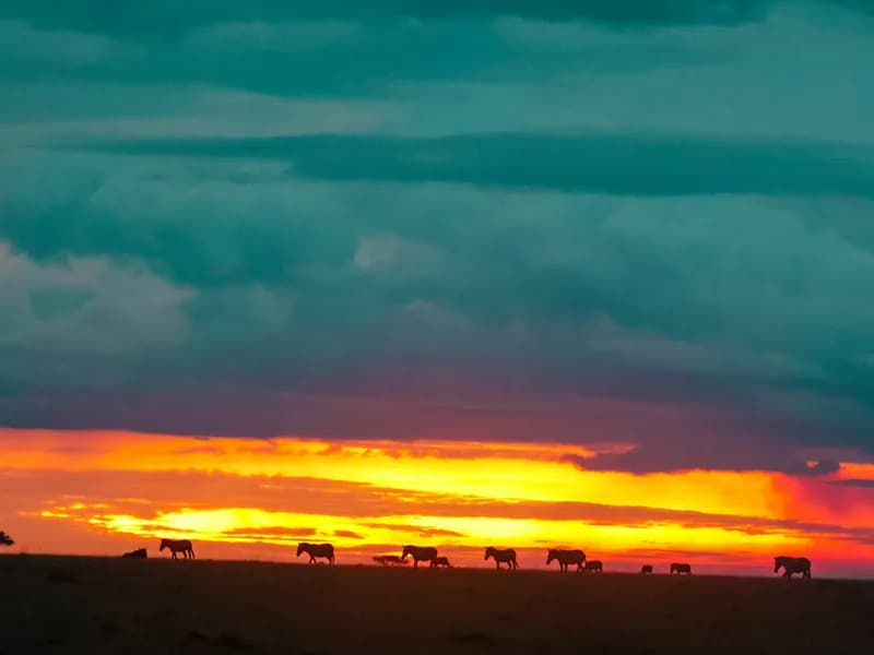 Olare Motorogi Conservancy
