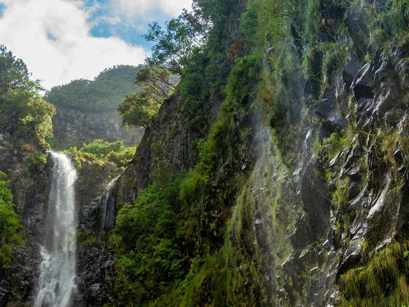 Levada das 25 Fontes & Risco Waterfall