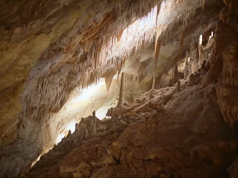 Caves of Drach (Coves del Drac)