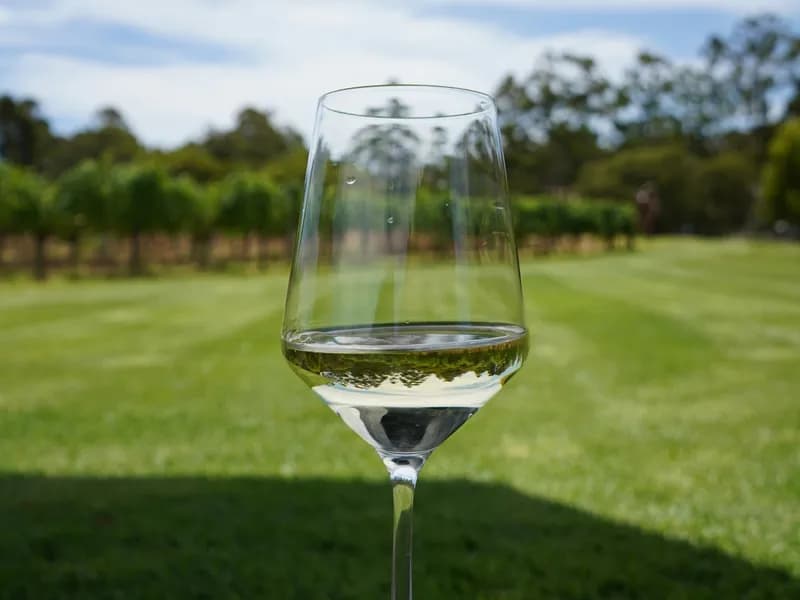 Wine Tasting at Cellar Doors