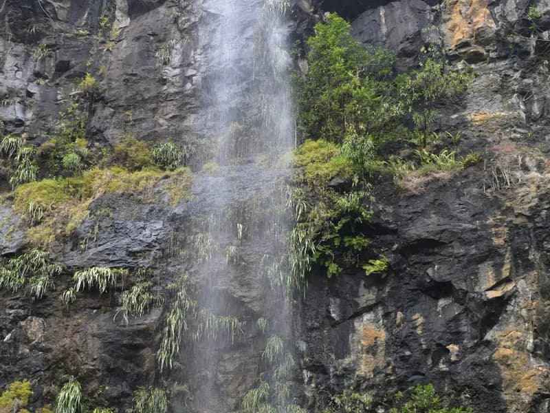 Black River Gorges National Park