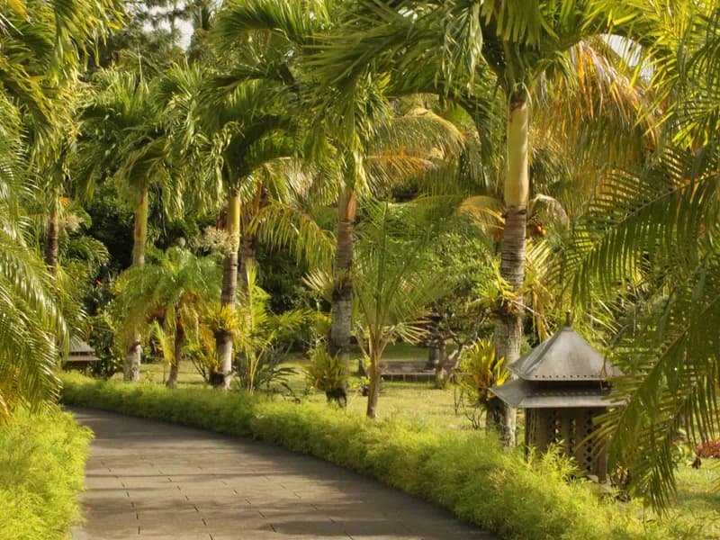 Rum Distillery Tours