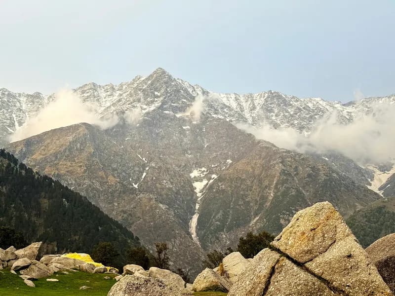 Triund Trek