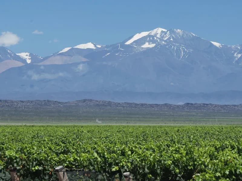 Uco Valley Wine Route