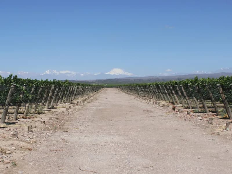 Maipú Bike & Wine Circuit