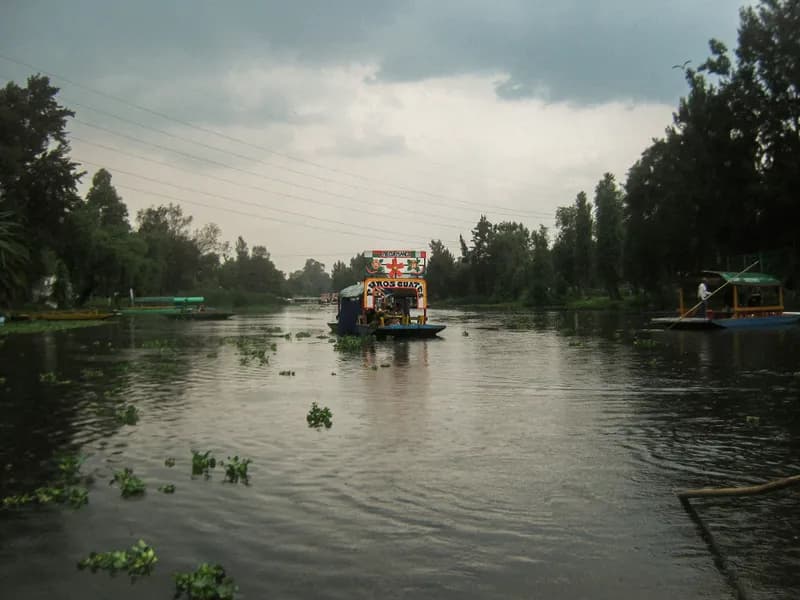 Xochimilco Floating Gardens