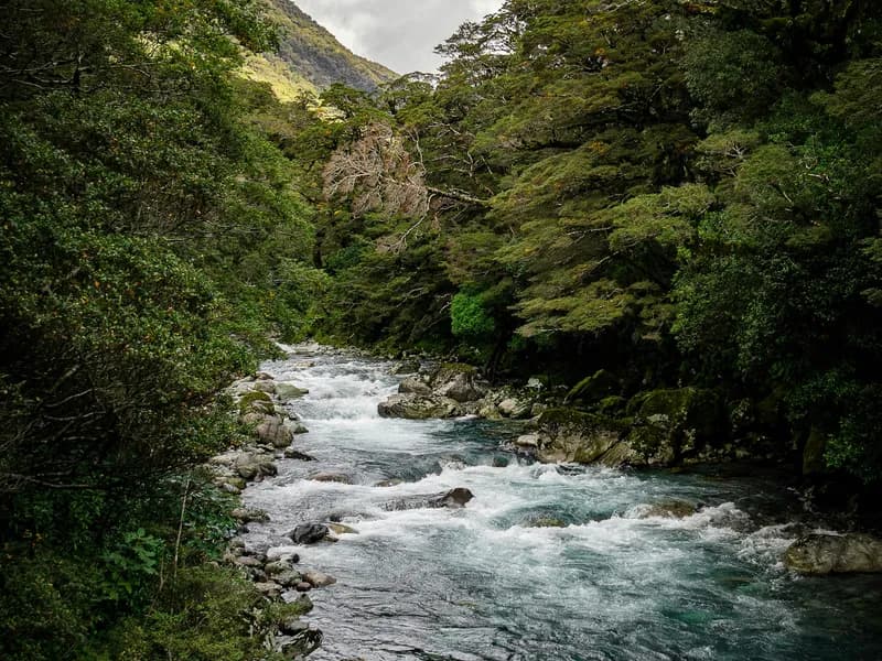 Milford Track