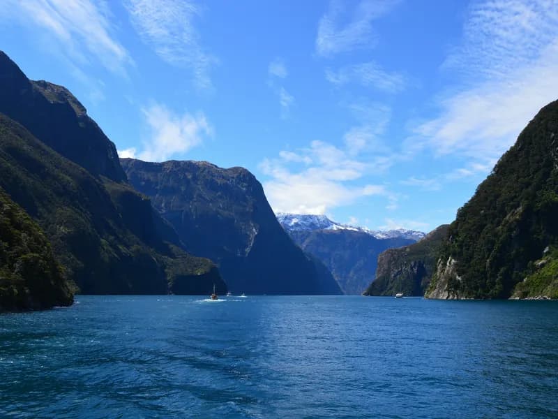 Milford Sound Underwater Observatory