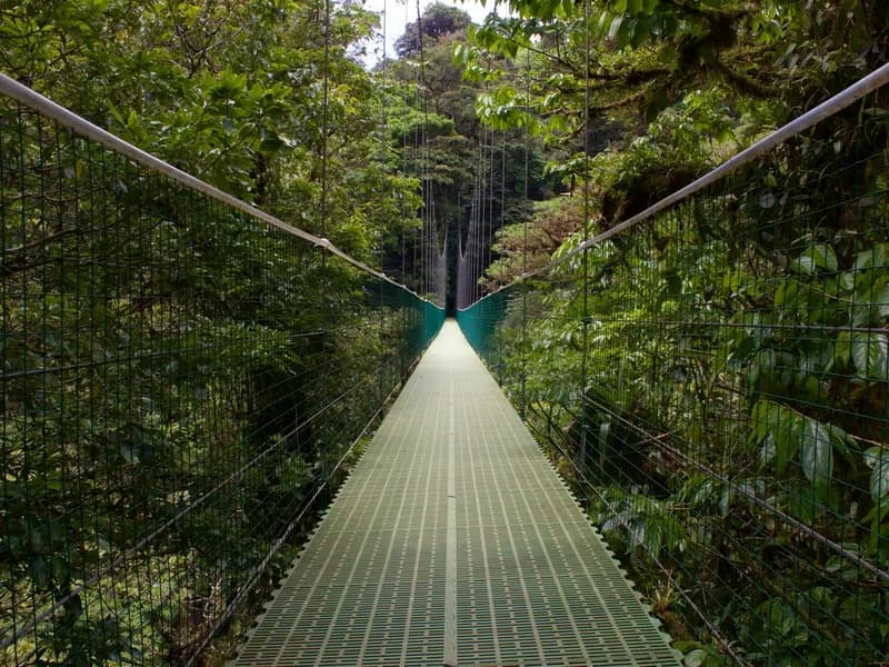 Hanging Bridges (Selvatura Park)