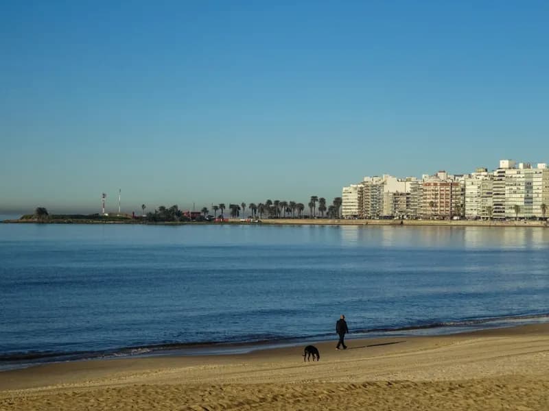 Pocitos Beach and Neighborhood