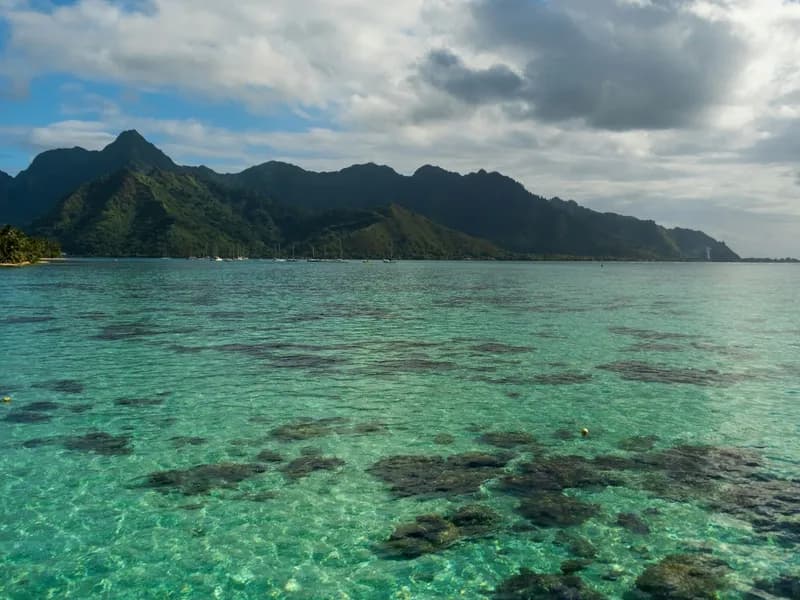 Lagoon Tours & Snorkeling