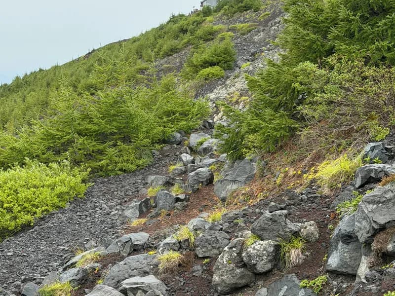 Fuji Five Lakes 5th Station